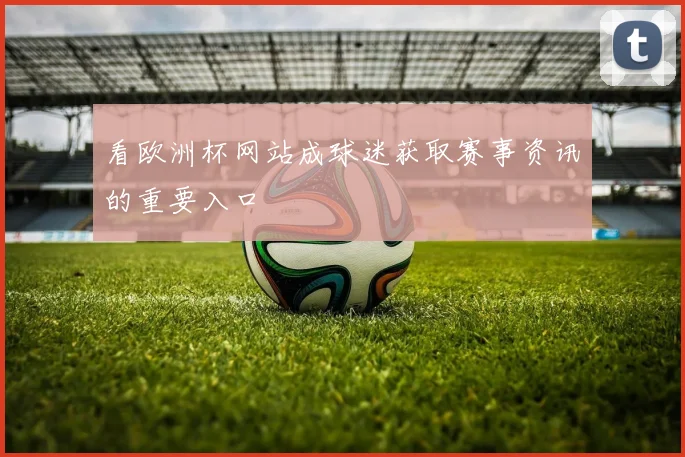 看欧洲杯网站成球迷获取赛事资讯的重要入口