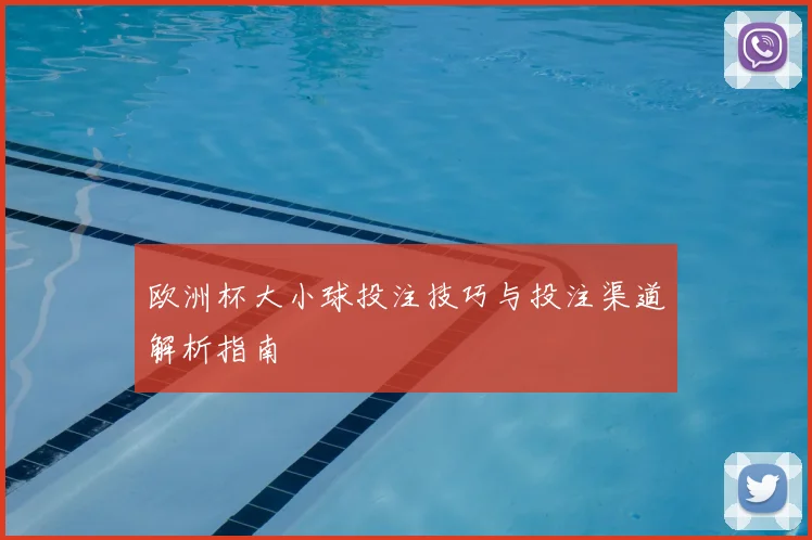 欧洲杯大小球投注技巧与投注渠道解析指南