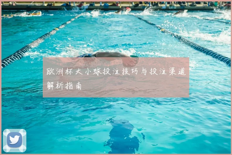 欧洲杯大小球投注技巧与投注渠道解析指南