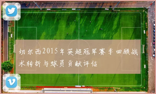 切尔西2015年英超冠军赛季回顾战术转折与球员贡献评估