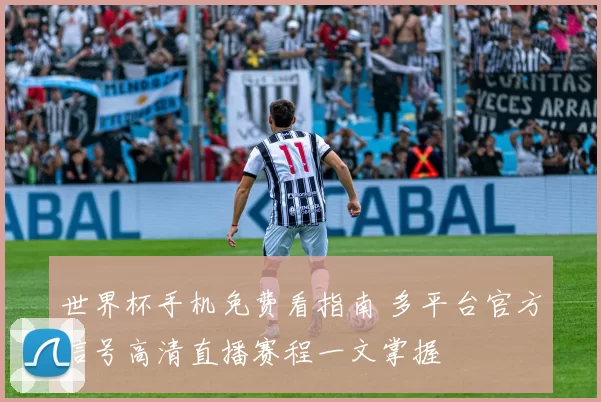 世界杯手机免费看指南 多平台官方信号高清直播赛程一文掌握
