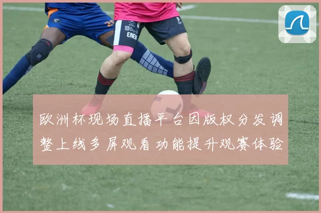 欧洲杯现场直播平台因版权分发调整上线多屏观看功能提升观赛体验