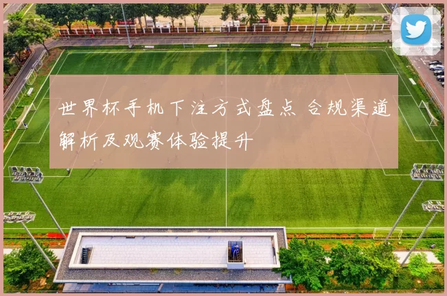 世界杯手机下注方式盘点 合规渠道解析及观赛体验提升