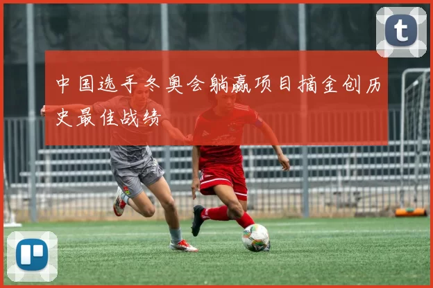 中国选手冬奥会躺赢项目摘金创历史最佳战绩